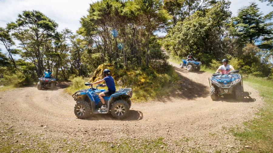 Riders on quad bikes navigating a forested dirt trail along the Bayview Circuit at Cable Bay Adventure Park.
