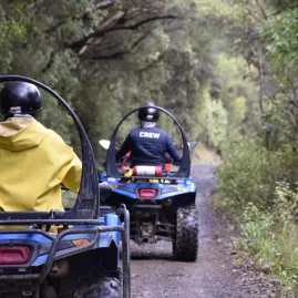 Quad bikers riding through forest trail at Cable Bay Adventure Park