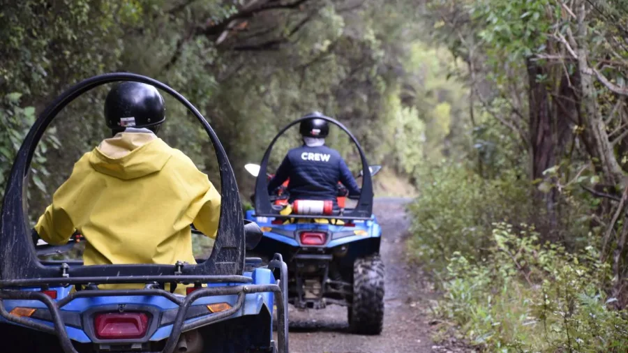 Quad bikers riding through forest trail at Cable Bay Adventure Park