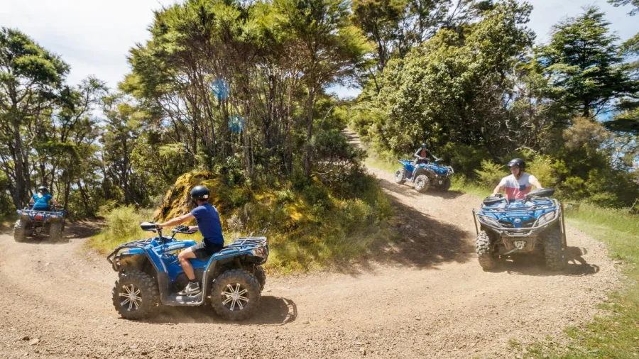 Group of riders navigating a forest trail on quad bikes at Cable Bay Adventure Park in Nelson
