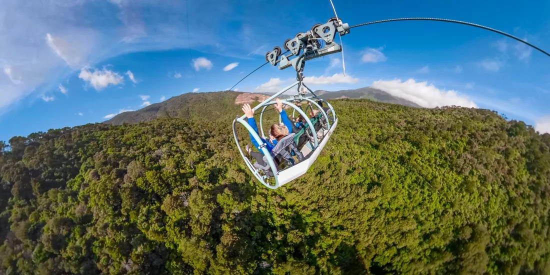 Skywire riders soaring above native forest at Cable Bay Adventure Park