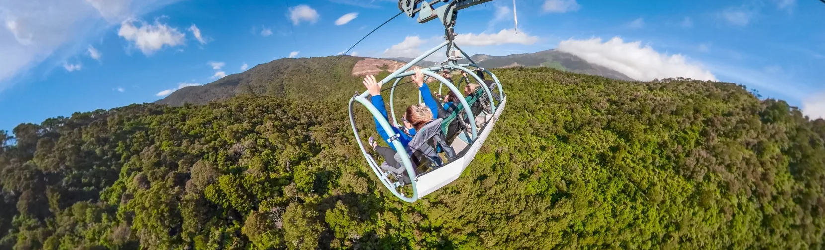 Skywire riders soaring above native forest at Cable Bay Adventure Park