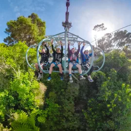 Group of thrill seekers riding the Skywire through native forest at Cable Bay Adventure Park