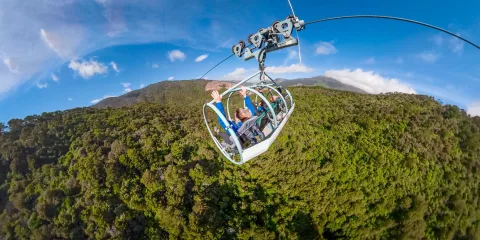 Skywire riders soaring above native forest at Cable Bay Adventure Park
