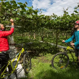 Cyclists exploring a vineyard along the Great Taste Trail with Cycle Journeys