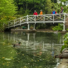 Cyclists crossing white bridge with ducks in the water below on Great Taste Trail