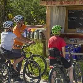 Cyclists visiting Little Shaggery Farm’s organic fruit and juice stall near Motueka