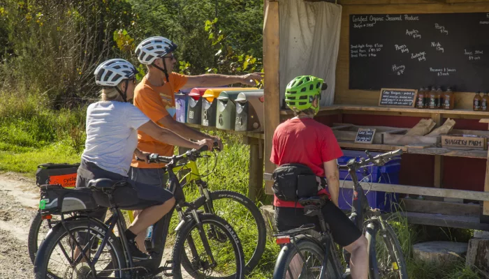 Cyclists visiting Little Shaggery Farm’s organic fruit and juice stall near Motueka
