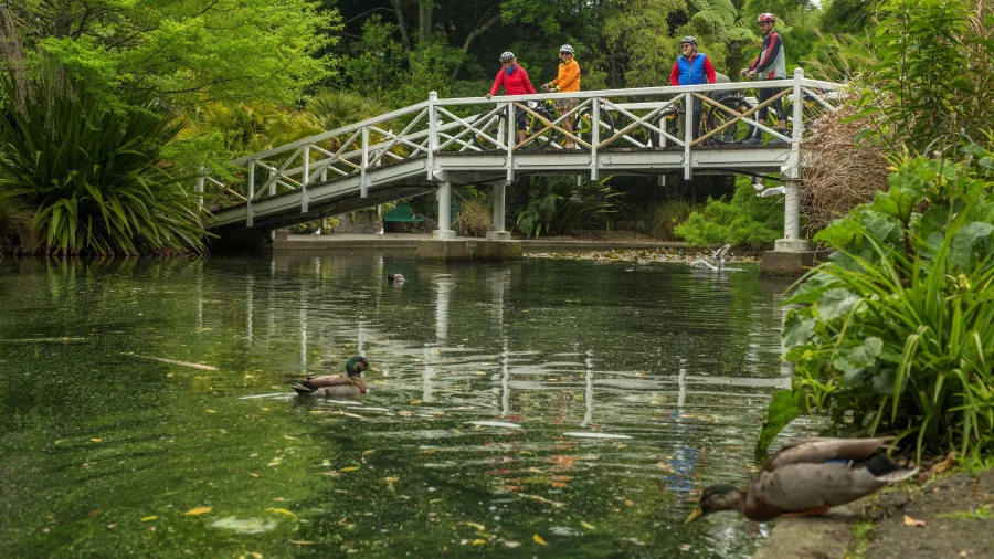 Cyclists crossing white bridge with ducks in the water below on Great Taste Trail