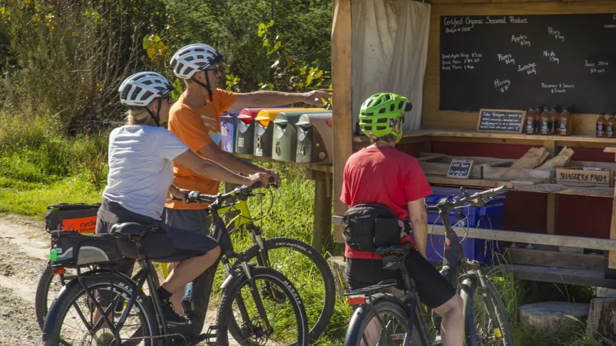Cyclists visiting Little Shaggery Farm’s organic fruit and juice stall near Motueka