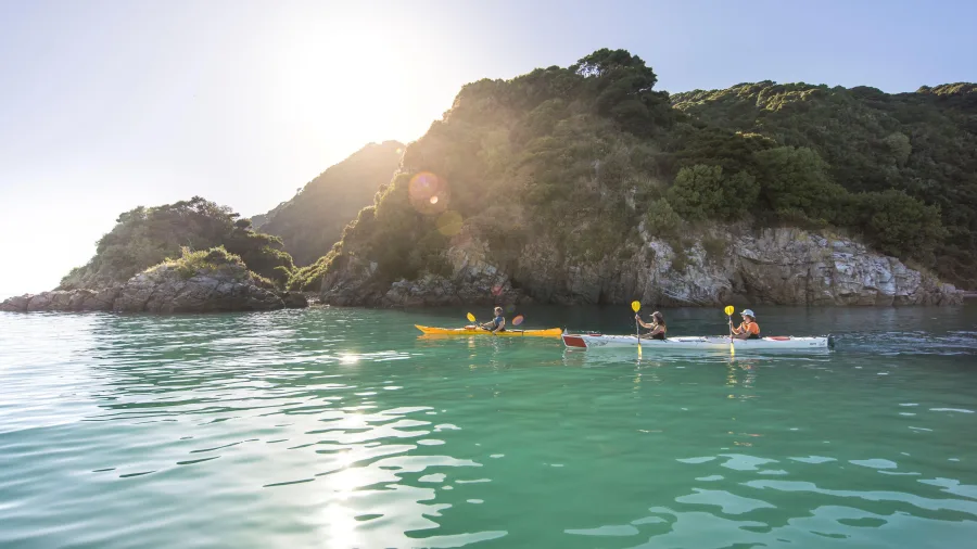 Kayakers paddling near forested cliffs in Golden Bay during golden hour