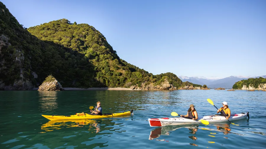 Three kayakers paddling through calm waters with lush coastal scenery in Golden Bay