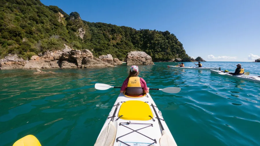 Group kayaking along a forested coastline in Golden Bay