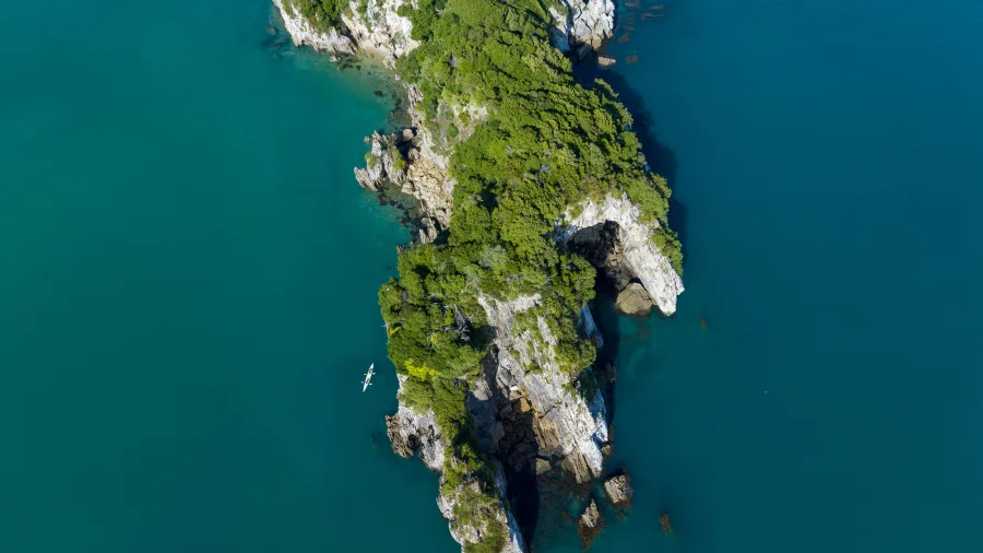 Aerial view of kayakers paddling near a rocky, forested headland in Golden Bay