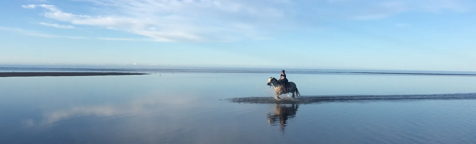 Rider on horseback during a low tide beach ride at Hack Farm in Golden Bay