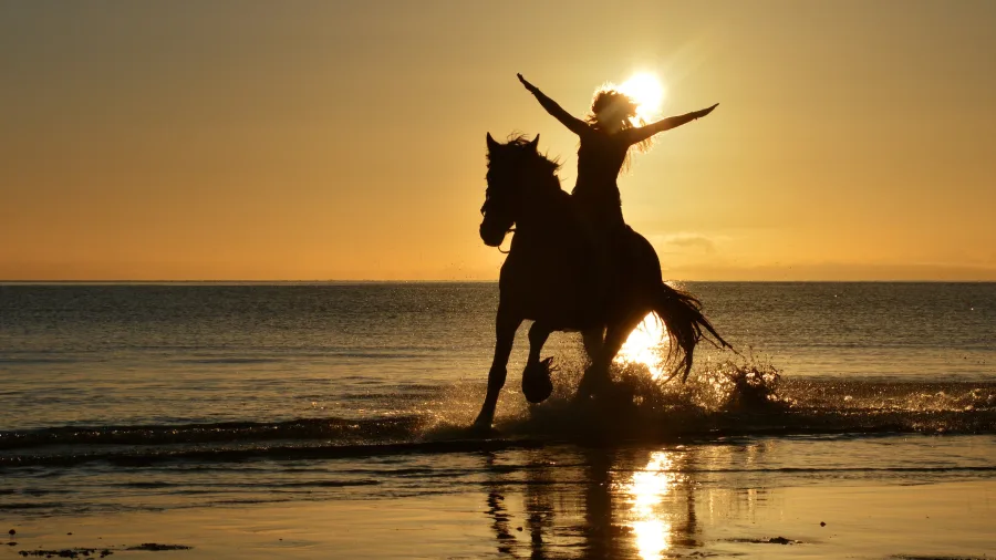 Silhouette of rider with arms outstretched on a horse during a sunset beach ride at Hack Farm in Golden Bay