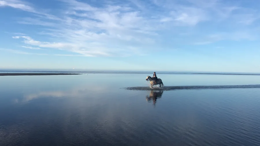 Rider on horseback during a low tide beach ride at Hack Farm in Golden Bay