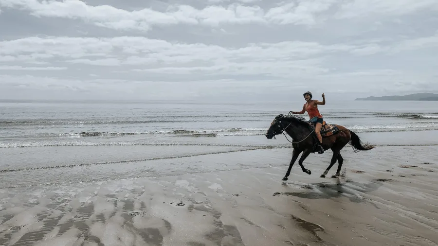 Rider galloping on a horse along the shoreline at Hack Farm in Golden Bay