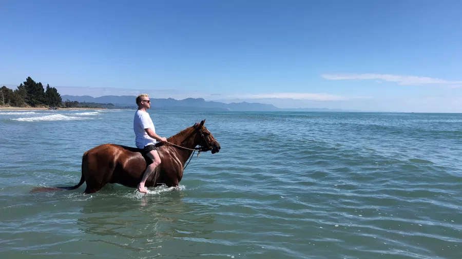 Rider swimming with a horse in the sea at Hack Farm in Golden Bay