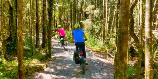 Cyclists riding through forest on the Lake Kaniere section of the West Coast Wilderness Trail