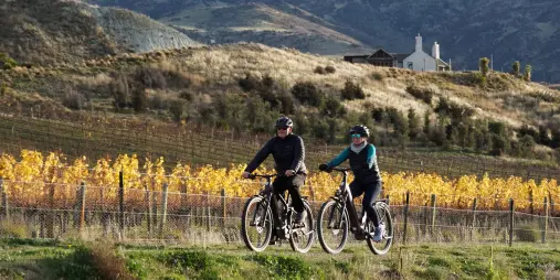 Cyclists riding through Gibbston vineyards on the Gibbston River Trail