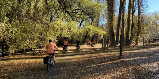 Cyclists riding through riverside woodland on the Twin Rivers Trail in Queenstown