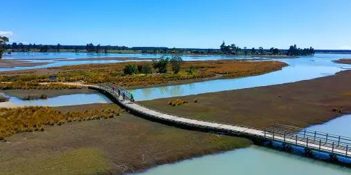 Cyclists riding on a winding boardwalk through the estuary on the Great Taste Trail