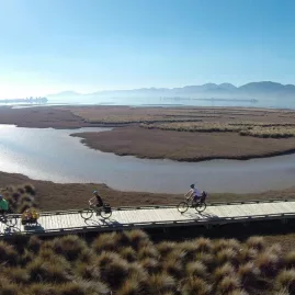 Family biking along a scenic coastal boardwalk trail near Nelson, New Zealand