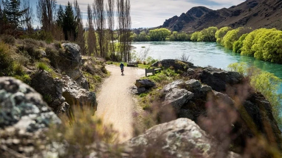 Cyclist riding along Roxburgh Gorge Trail in spring beside the Clutha River