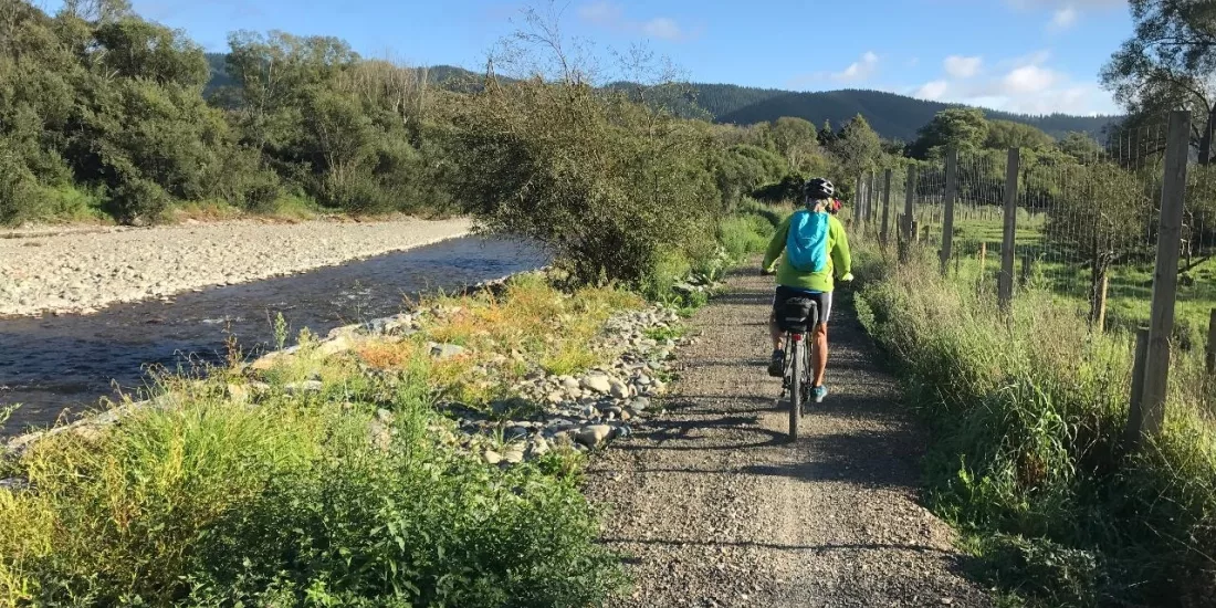 Cyclist in bright gear biking alongside a river on the Mapua section of the Great Taste Trail