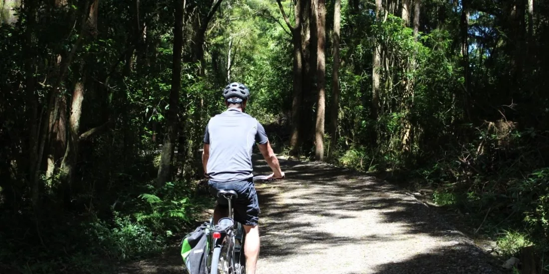 Cyclist riding through a forest trail on the Great Taste Trail with Kiwi Journeys