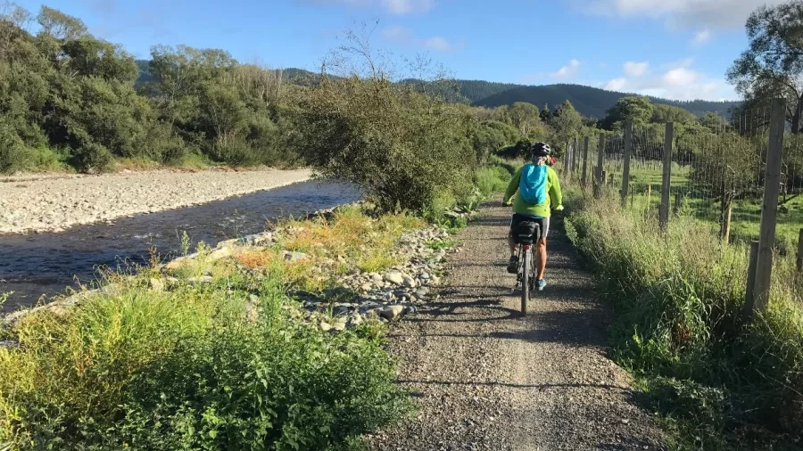 Cyclist in bright gear biking alongside a river on the Mapua section of the Great Taste Trail