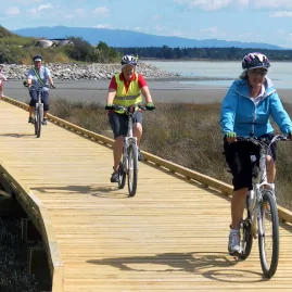 Family cycling along the boardwalk on the Great Taste Trail