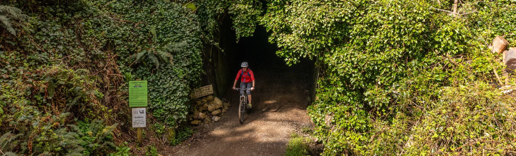 Cyclist entering Spooners Tunnel surrounded by native bush