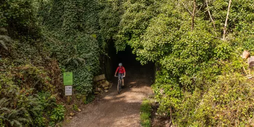 Cyclist entering Spooners Tunnel surrounded by native bush