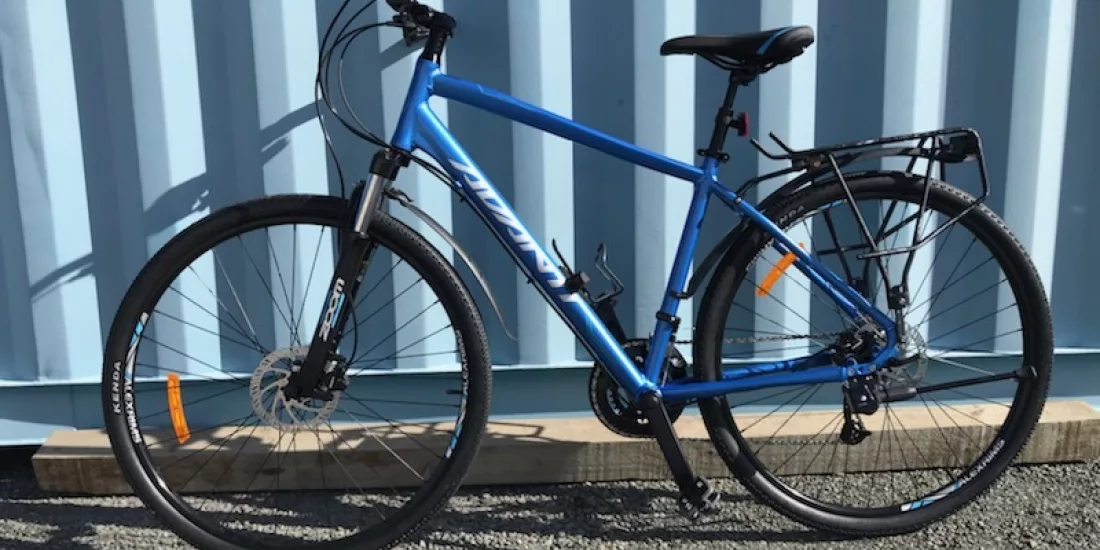 Large Avanti MS2 adult bike leaning against blue wall