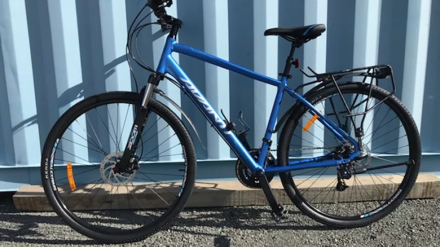 Large Avanti MS2 adult bike leaning against blue wall