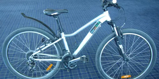 Extra small step-through adult bike for hire in Nelson