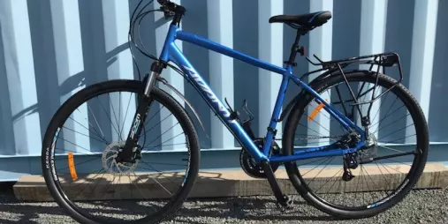 Large Avanti MS2 adult bike leaning against blue wall