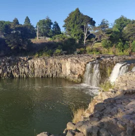 Haruru Falls cascading over a rocky cliff into the Waitangi River