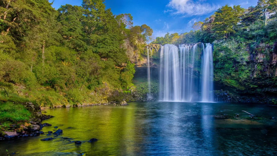 Scenic view of Waianiwaniwa Rainbow Falls cascading into a serene pool surrounded by lush greenery