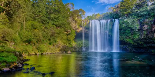 Scenic view of Waianiwaniwa Rainbow Falls cascading into a serene pool surrounded by lush greenery