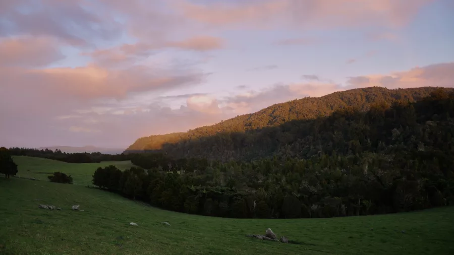 Sunset casting golden light over the forested hills of Puketi near Bay of Islands