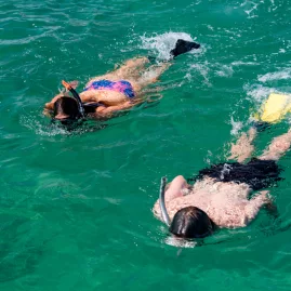 Two people snorkeling in the clear waters of the Bay of Islands