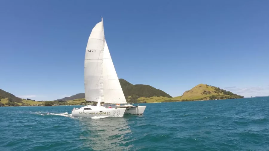 Catamaran sailing in clear blue waters near green headlands in the Bay of Islands