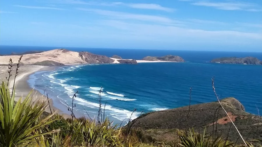 Scenic view of Cape Reinga beach with sand dunes and coastal vegetation