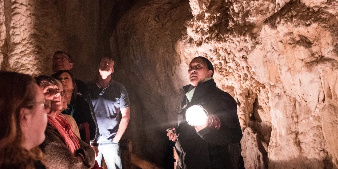 Guide holding a torch and leading a group through glow worm caves on a Bay of Islands tour