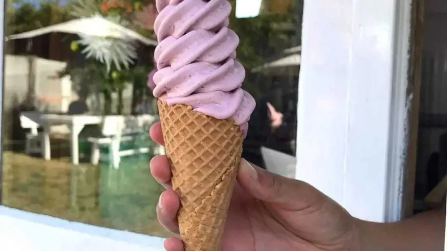 Hand holding a fresh berry ice cream cone from Blue River Orchard on the Taste the Bay Foodie Tour