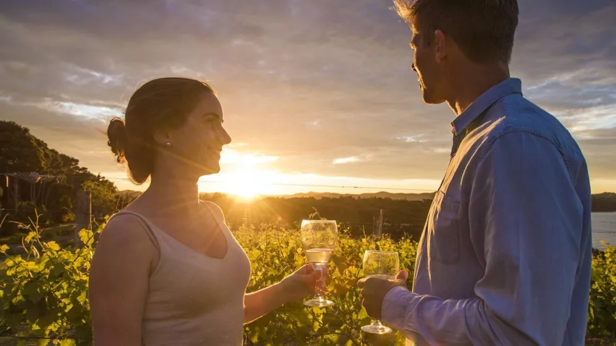 Couple enjoying a wine tasting at a vineyard in Bay of Islands during sunset