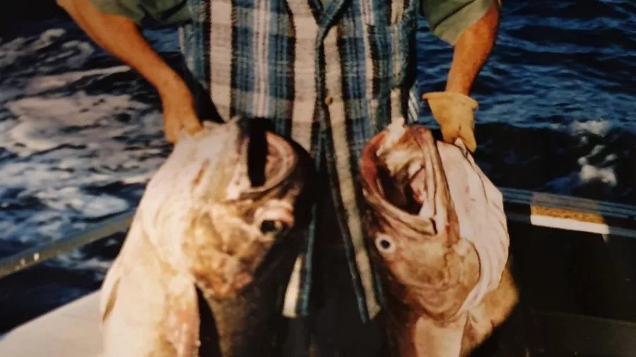Darren holding two large Hapuka fish on a boat after a successful fishing trip